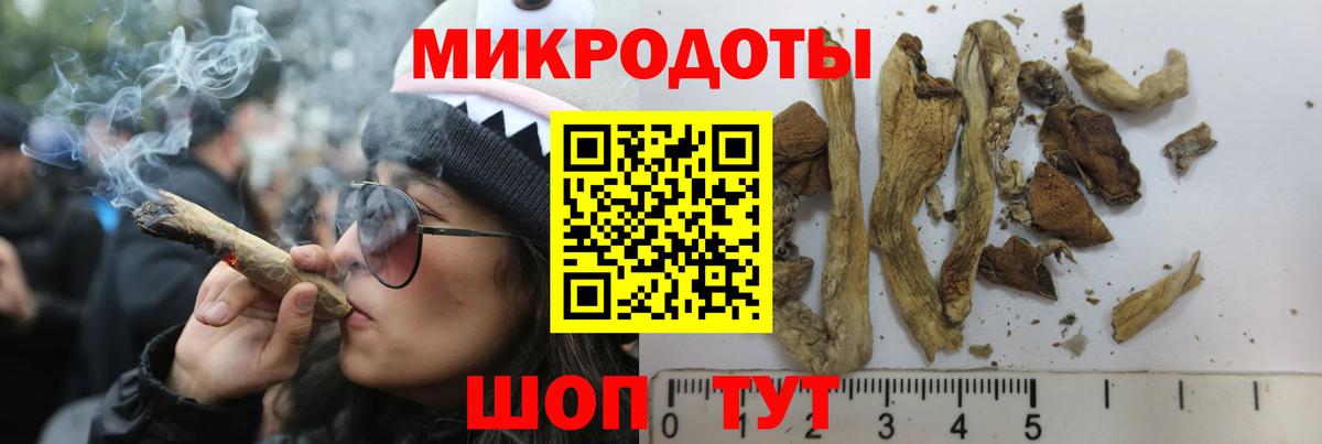 Псилоцибиновые грибы Cubensis  Вход с VPN  Городец 