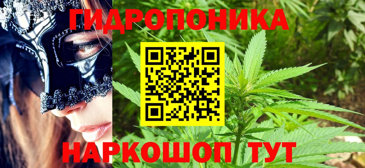 МАРИХУАНА SATIVA & INDICA  Вход с VPN  Городец  Конопля LSD WEED  Каннабис White Widow 